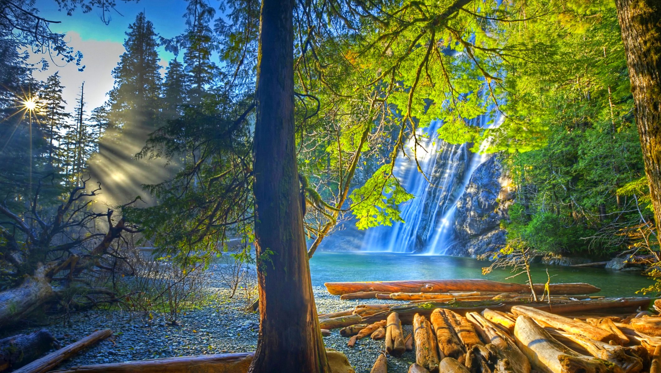 estados unidos deva falls tennessee roca cascada bosque árboles troncos rayos del sol