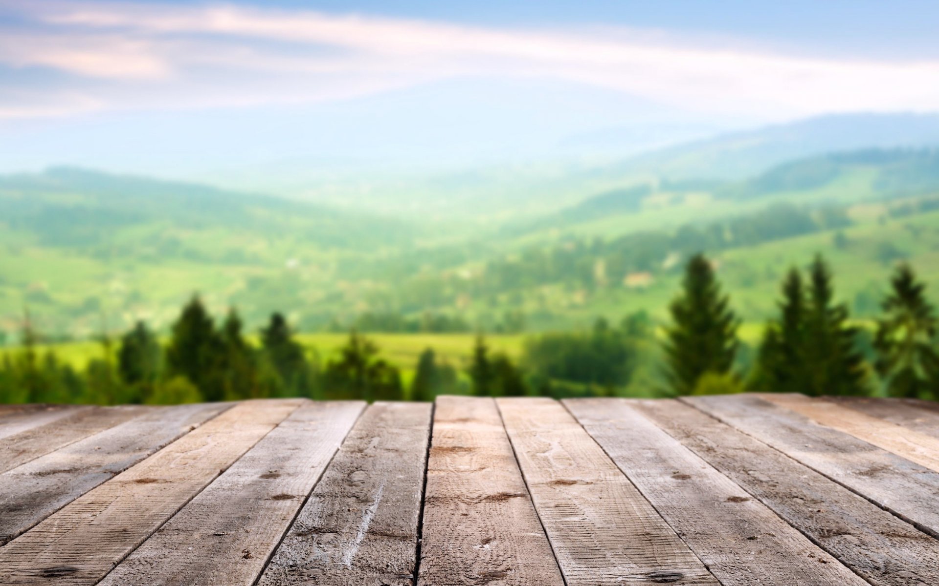 humeur forêt montagnes ciel espace plancher planches repos vue paysage nature printemps été arbres mise au point macro fond d écran intéressant