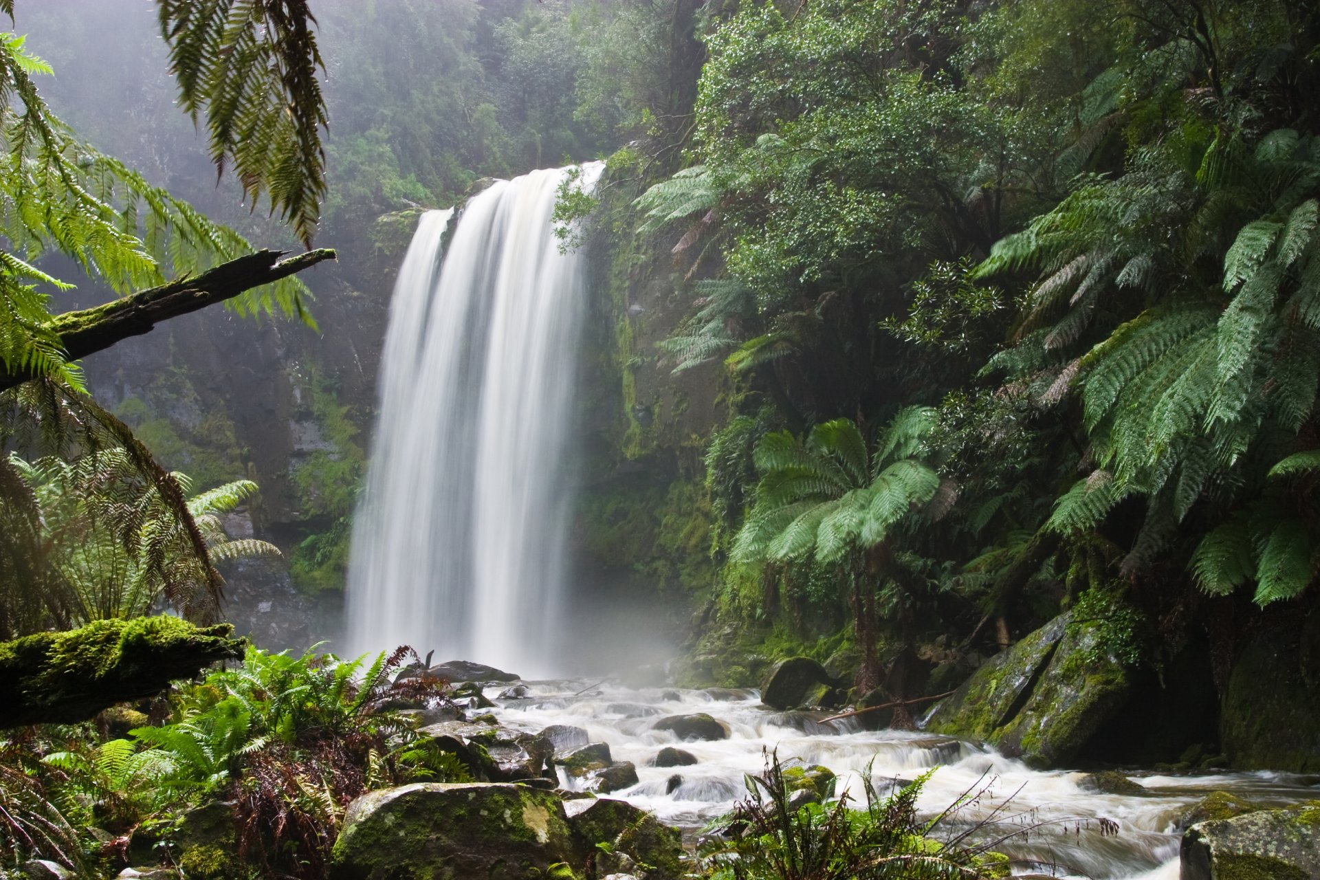 bergfluss wald wasserfall natur