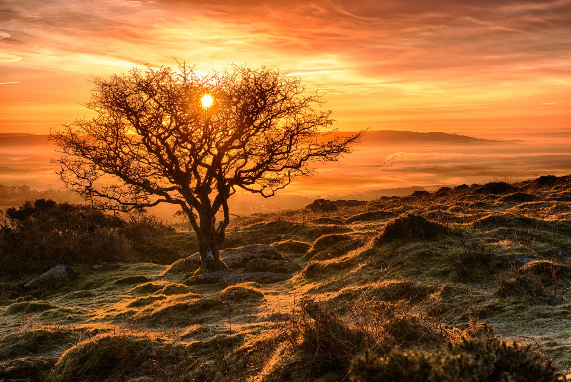 himmel sonne sonnenuntergang herbst hang baum frost