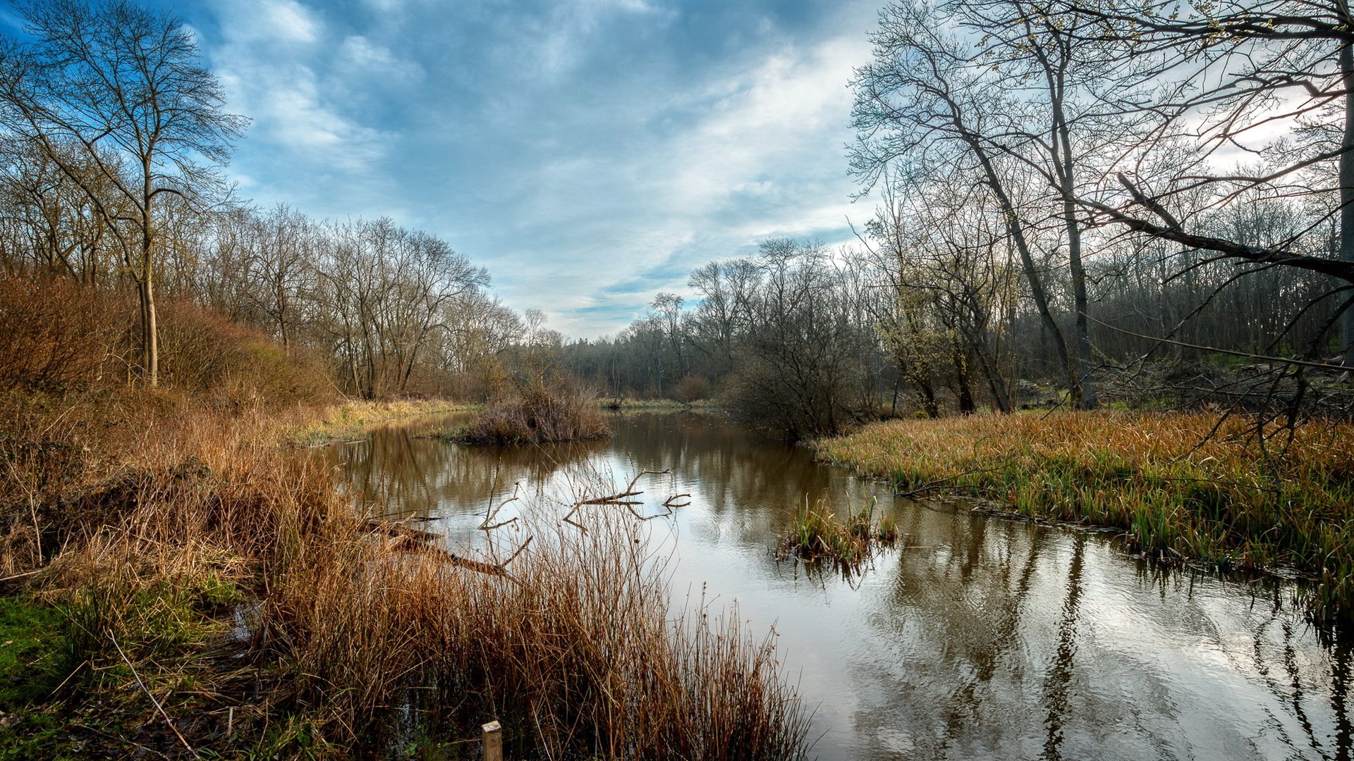 fluss frühling natur