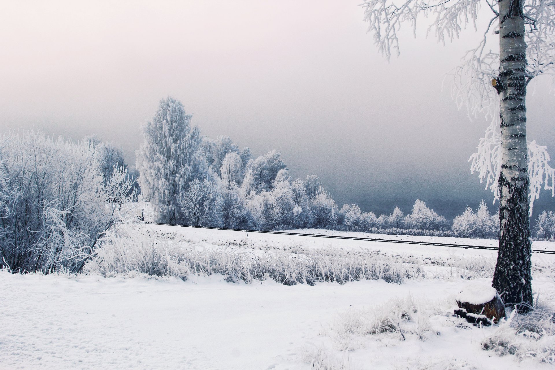 schweden winter schnee bäume frost eisenbahn