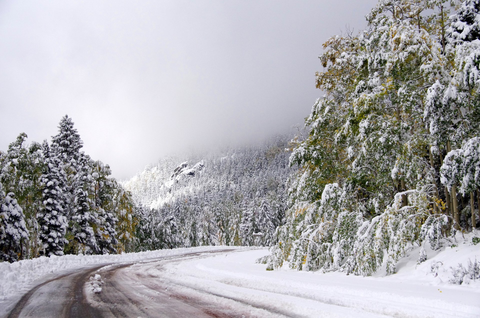 ciel route hiver neige arbres tour