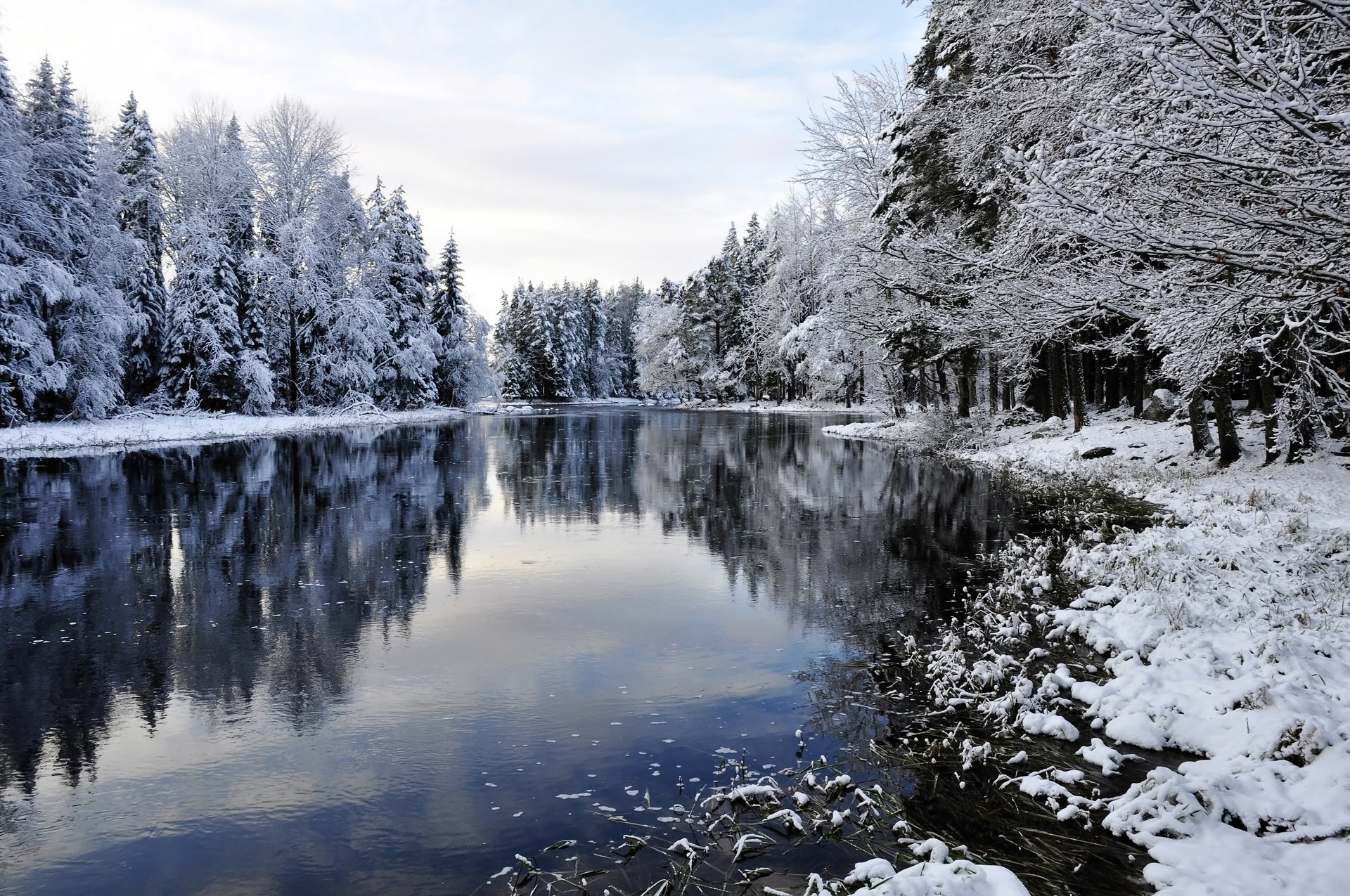 invierno paisaje nieve invierno río árboles