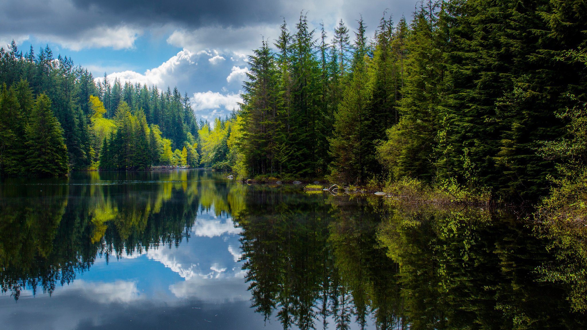 canada british columbia lake spring forest reflection