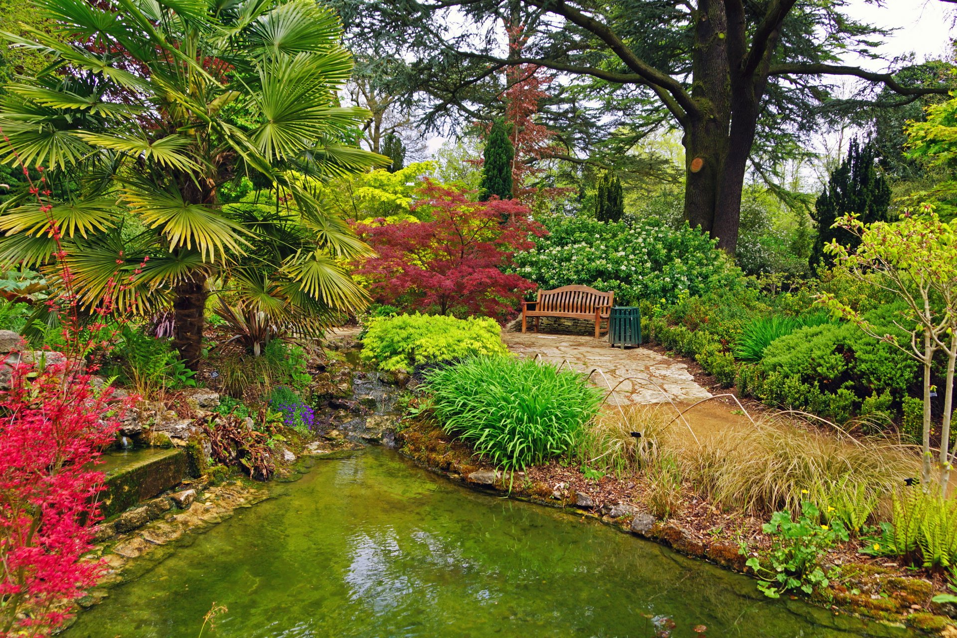 giardino inghilterra stagno blenheim palace panchina palme cespugli natura foto