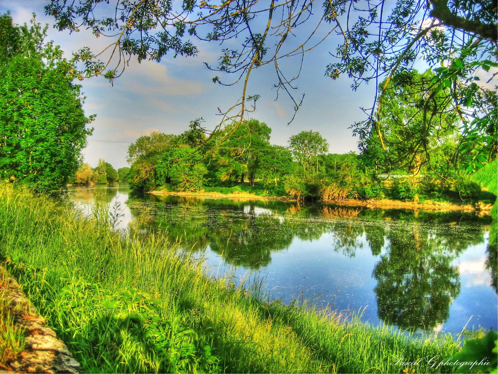 himmel wolken fluss bäume büsche gras landschaft