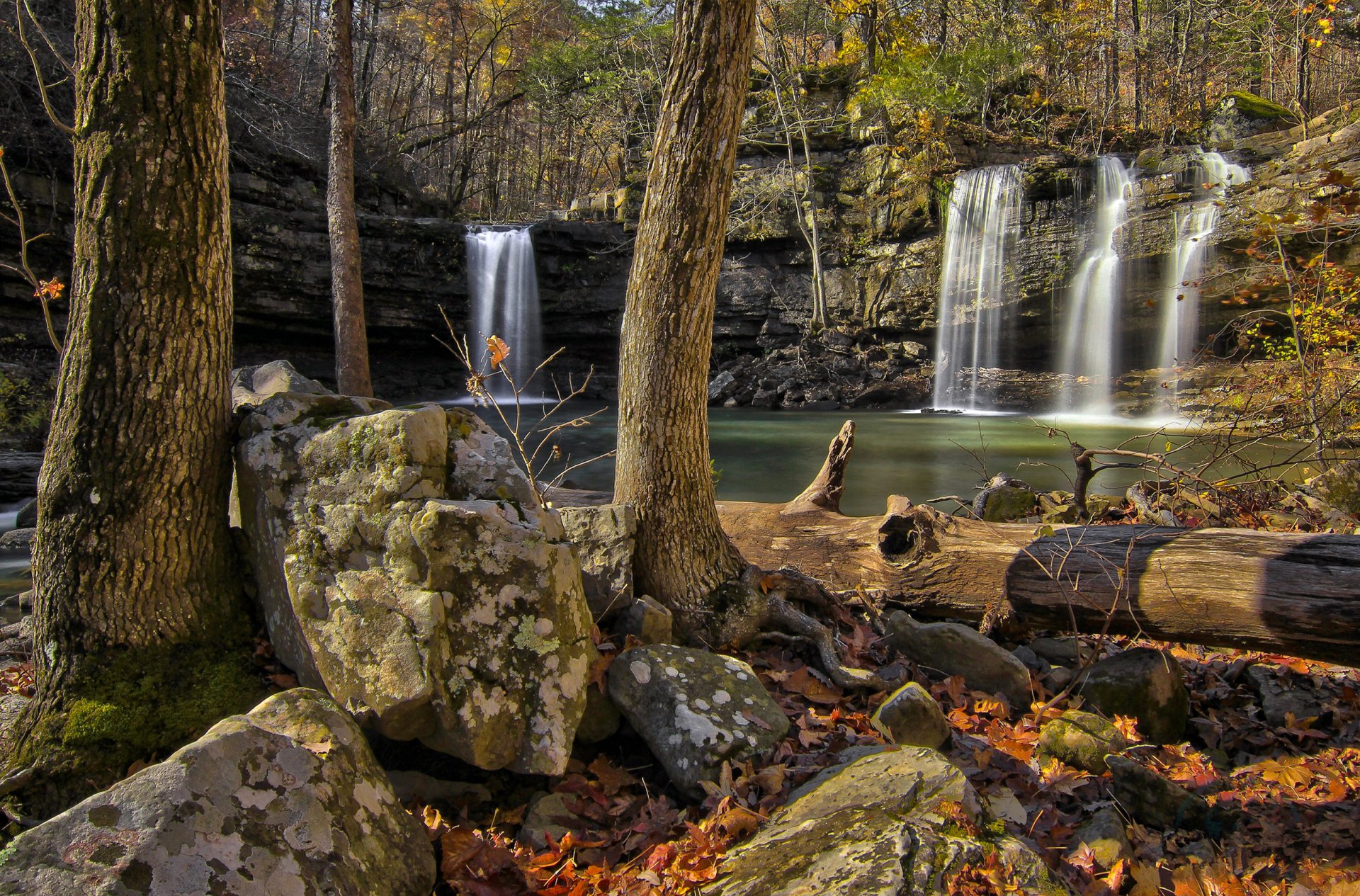 forest tree rock stones waterfall