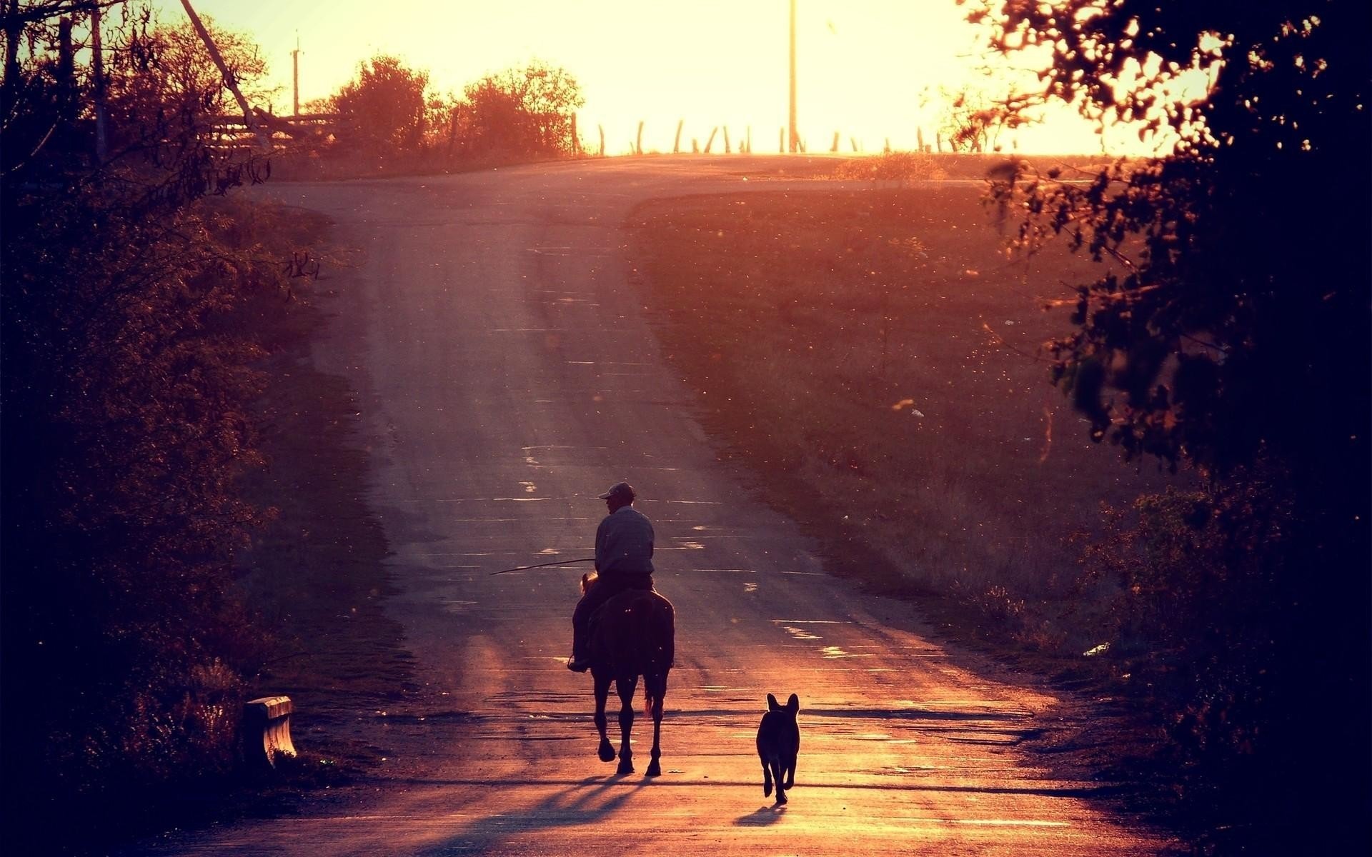 nature paysage route soleil cavalier chien photo