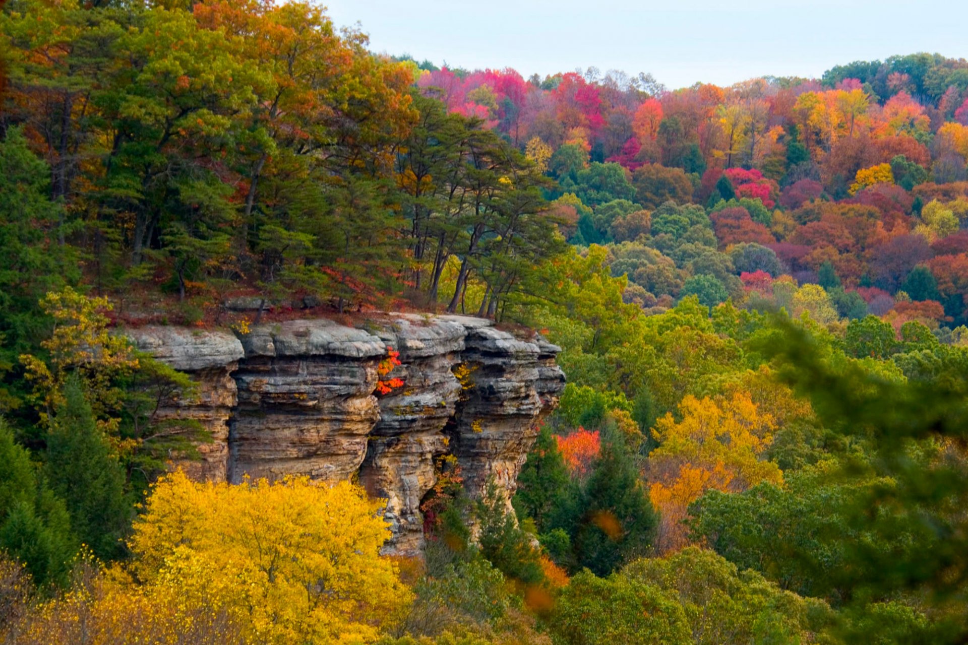 herbst wald plateau purpurrot landschaft klippe felsen