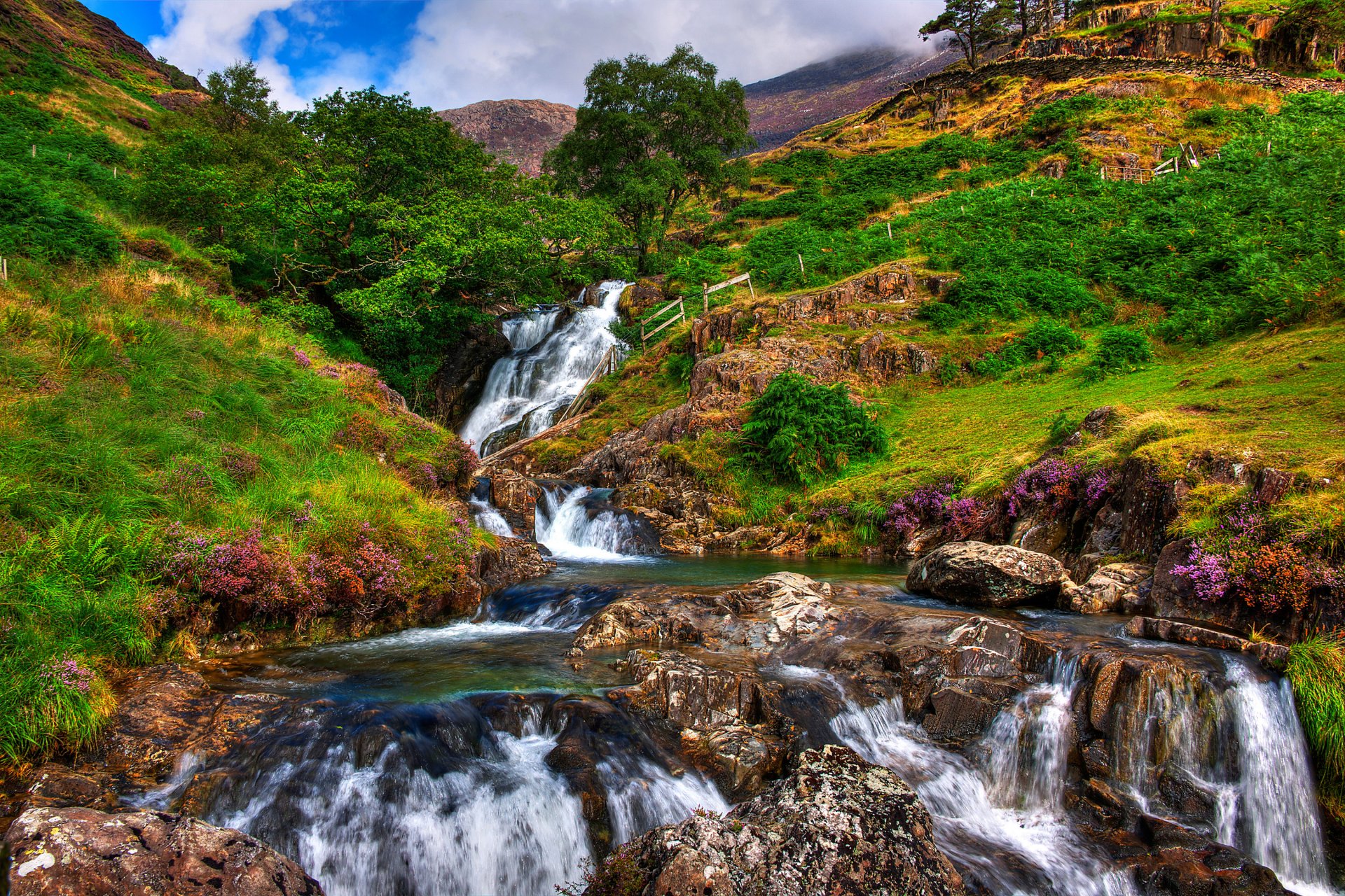 gb snowdonia ciel nuages pierres rivière ruisseau roches arbres montagnes herbe fleurs paysage