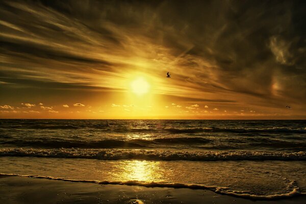 Elegante puesta de sol con nubes y un pájaro