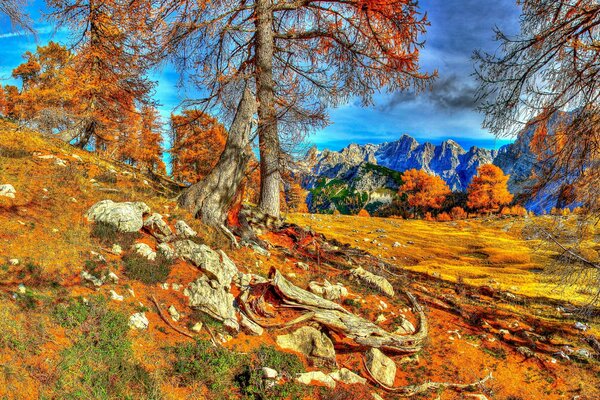 Blue sky combined with orange colors of autumn