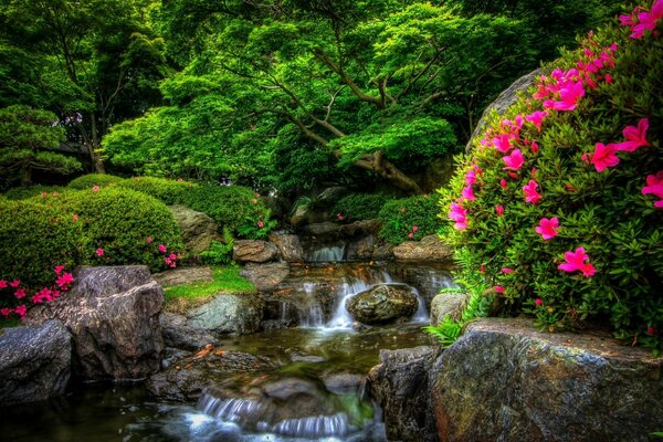 Fieria de flores en un parque con una cascada