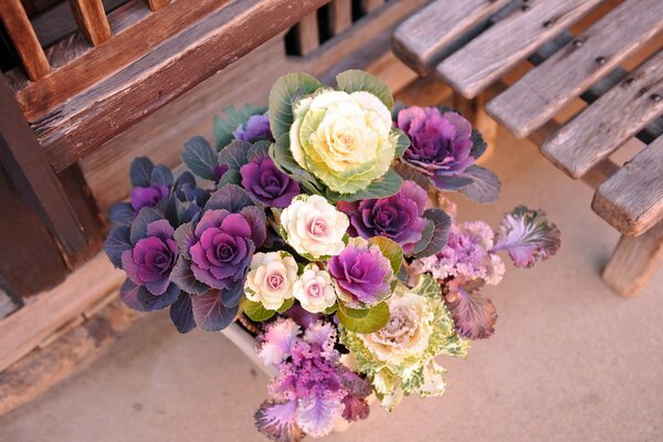 Bellissimo bouquet di cavolfiore