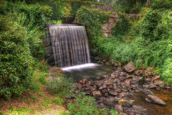 Trees surround a small waterfall