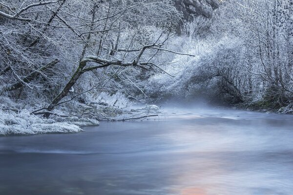 Río en el bosque cubierto de nieve