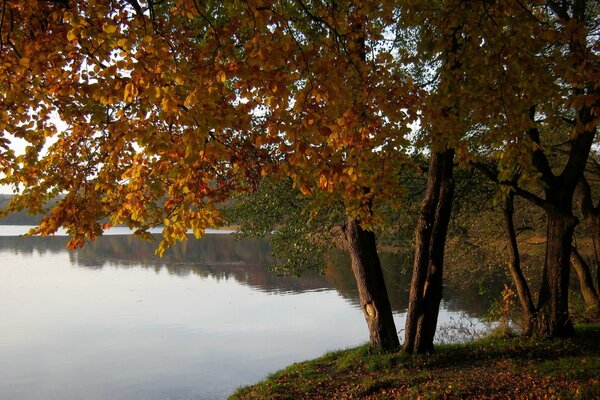 Coppie innamorate nel parco preferito