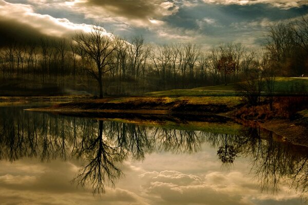 Sky in clouds over a forest lake