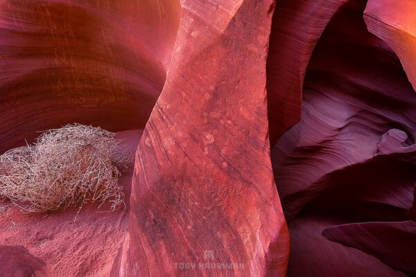 Antilope Canyon USA textrura