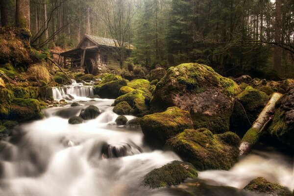 A hut by a mountain forest stream