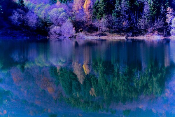 Ladera del bosque junto al lago en otoño