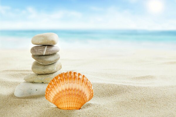 Meerstrandlandschaft mit Muscheln und Steinen