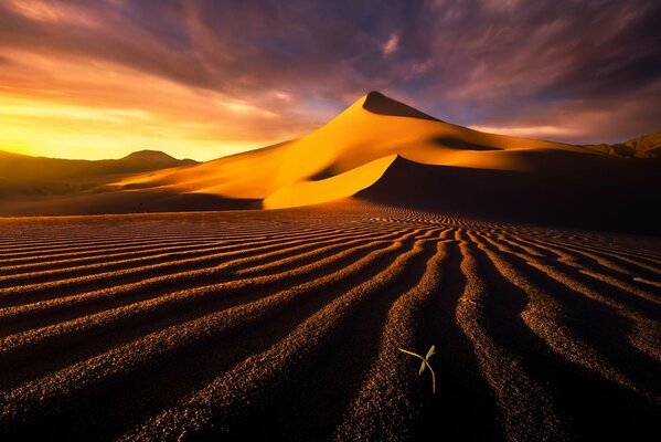 Dunes de sable sous les nuages