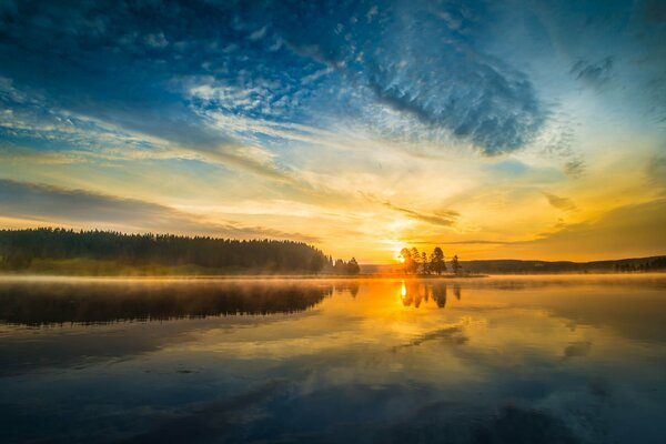 Lake and Forest of Yellowstone National Park