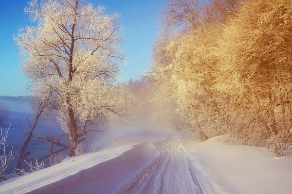 Paysage d hiver de la route enneigée