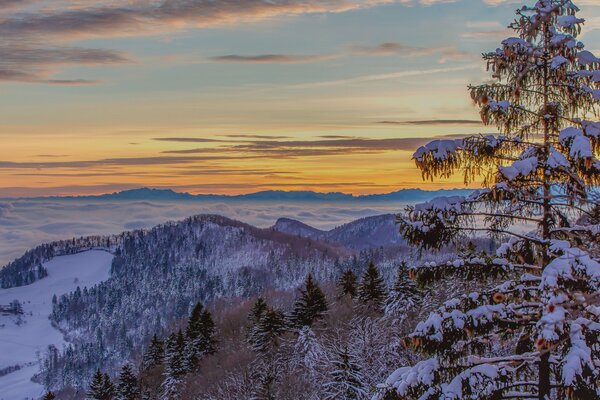 Nebliger Morgen und schneebedeckte Berge