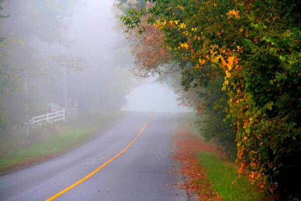 El camino de otoño que va a la distancia