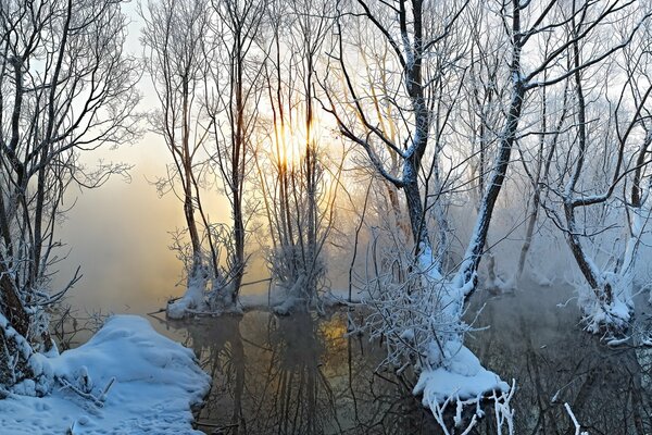 Verschneite Bäume, die mit Wasser überflutet sind. An der Grenze zwischen Herbst und Winter