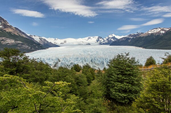 Glaciar de montaña pisando árboles verdes