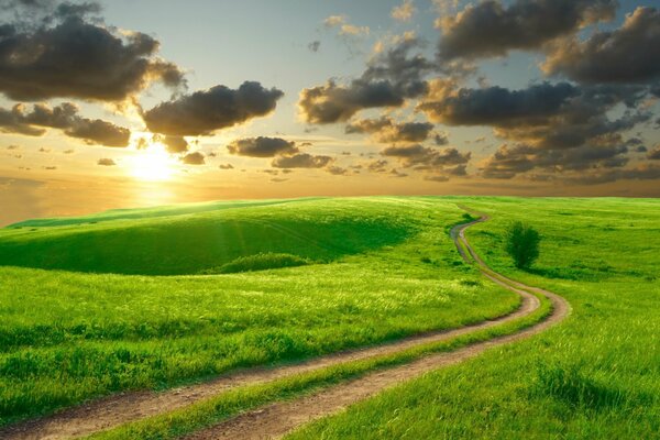 Удивительной красоты природа с яркой зеленью и дорогой в счастливое будущее на фоне чудесного восхода солнца и мимо мимо проплывающих облаков