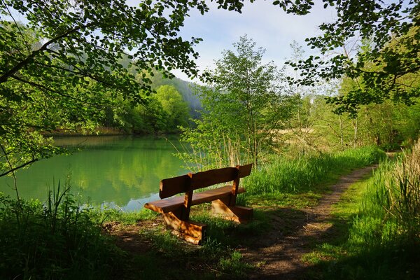 A forest shop in a quiet place on the shore of a green lake