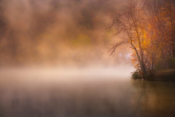 Misty lake in autumn Park