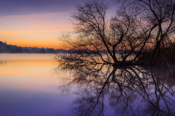 Morning sunrise on the river with reflection on the smooth surface of the water