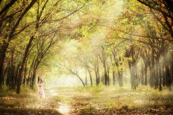 A girl in the rays of the sun in the autumn forest