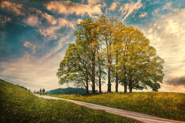 Due persone camminano lungo la strada accanto agli alberi ad alto fusto