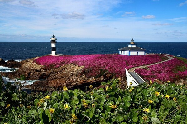 Eine Landschaft aus rosa und gelben Blüten, einem Leuchtturm