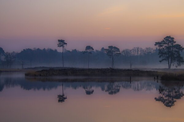 Aube. Matin brumeux sur les marais de basse altitude