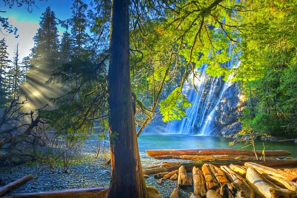 Tronchi che galleggiano lungo il fiume con una cascata sotto il sole