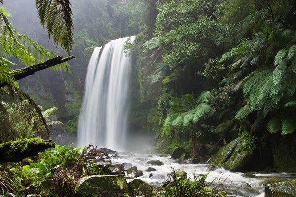 Río de montaña y cascada. Excursión