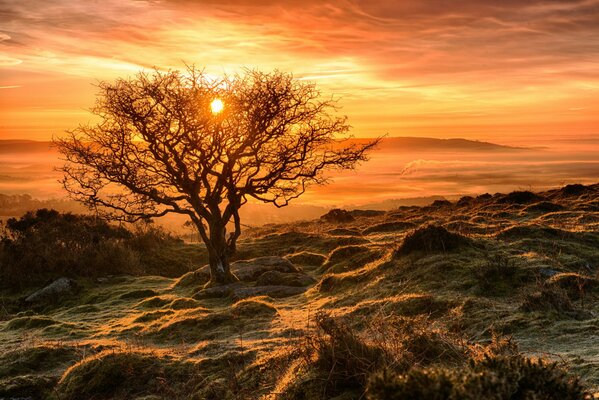 Puesta de sol de otoño en la ladera de la montaña