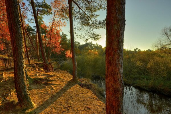 Tramonto autunnale presso la scogliera nella foresta