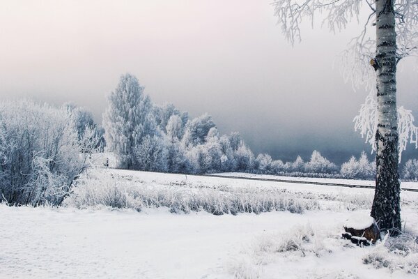 Image de paysage d hiver avec chemin de fer