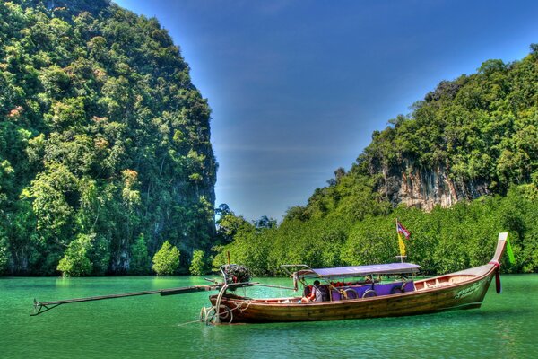 Boot unter Bäumen in Thailand