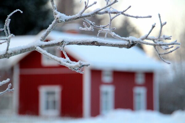 Ein Ast ist mit Schnee bedeckt