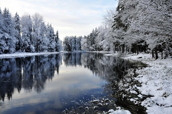 Fluss im Winterwald mit Schnee